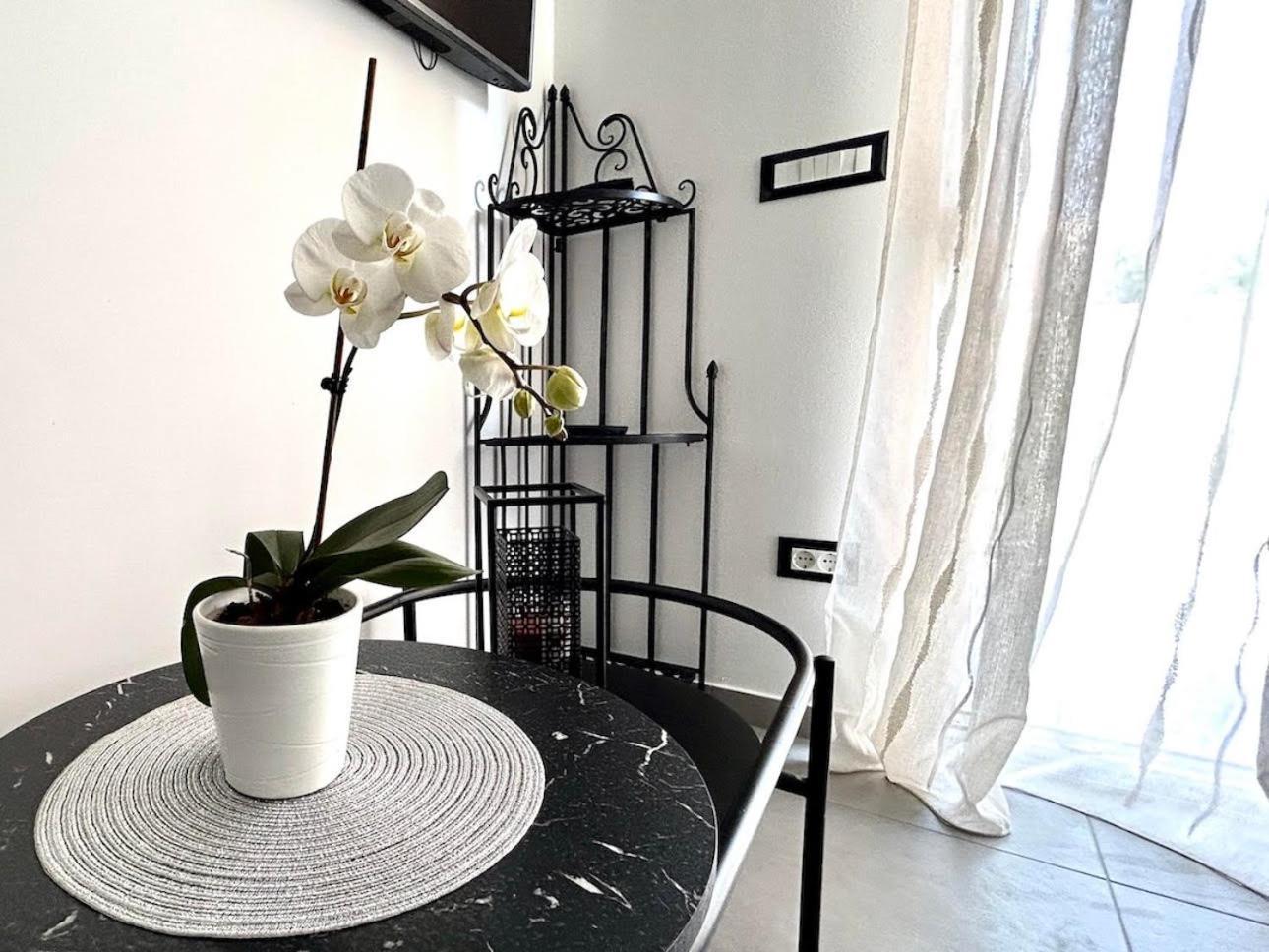 Apartment Diva Zambratija  Buitenkant foto